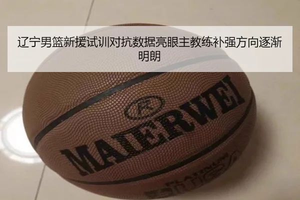 辽宁男篮新援试训对抗数据亮眼主教练补强方向逐渐明朗